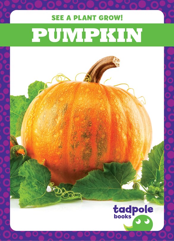 Front cover_Pumpkin