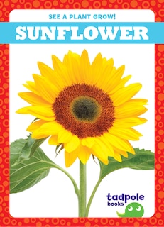 Front cover_Sunflower
