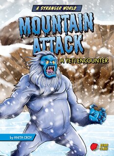 Couverture_Mountain Attack
