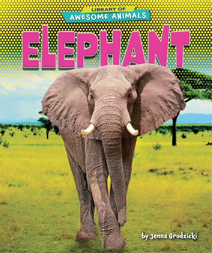 Couverture_Elephant