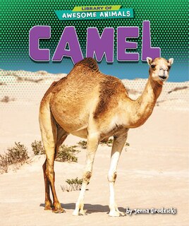 Front cover_Camel