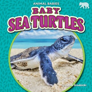 Couverture_Baby Sea Turtles