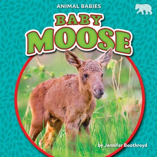 Front cover_Baby Moose