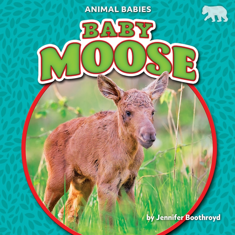Front cover_Baby Moose