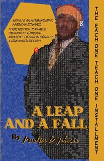 Front cover_A Leap and a Fall