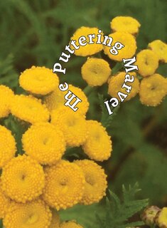 Couverture_The Puttering Marvel