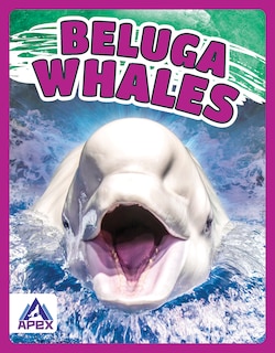 Beluga Whales