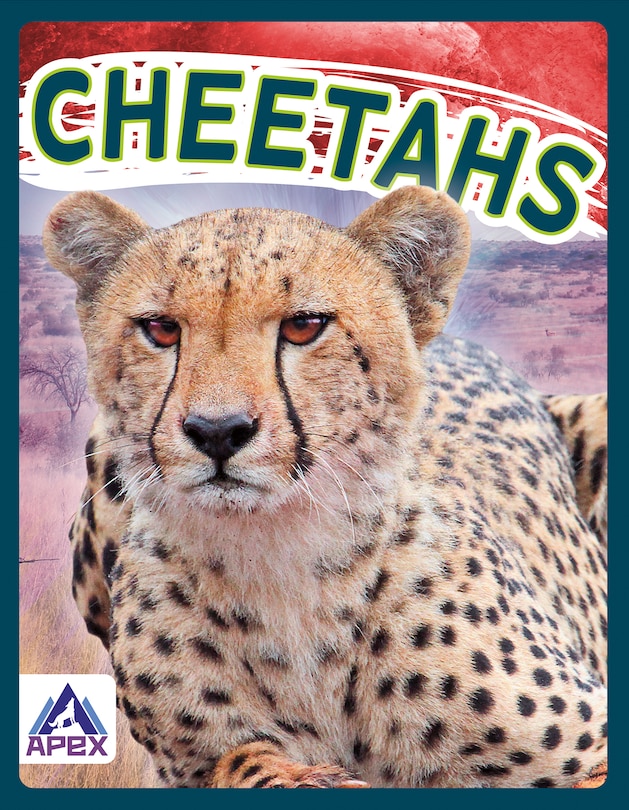Couverture_Cheetahs