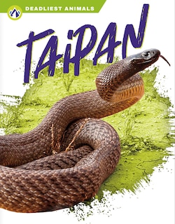 Taipan