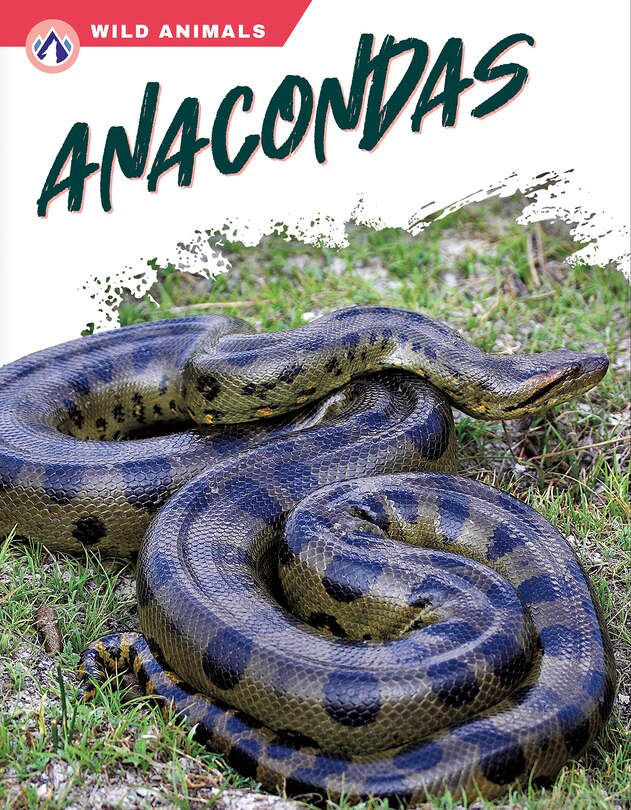 Couverture_Anacondas