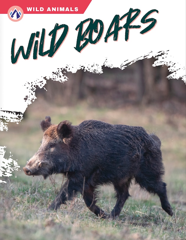 Couverture_Wild Boars