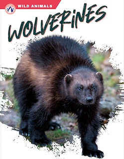 Front cover_Wolverines