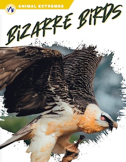 Front cover_Bizarre Birds