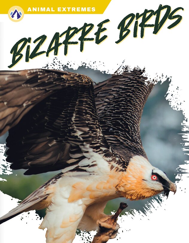 Front cover_Bizarre Birds