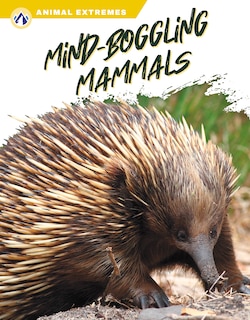 Couverture_Mind-Boggling Mammals