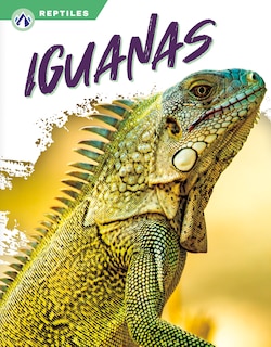 Couverture_Iguanas
