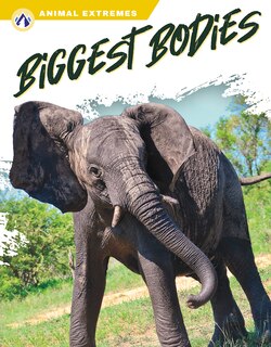 Front cover_Biggest Bodies