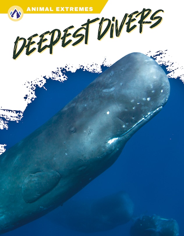 Couverture_Deepest Divers