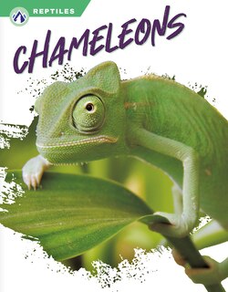 Couverture_Chameleons