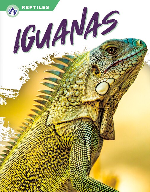Couverture_Iguanas