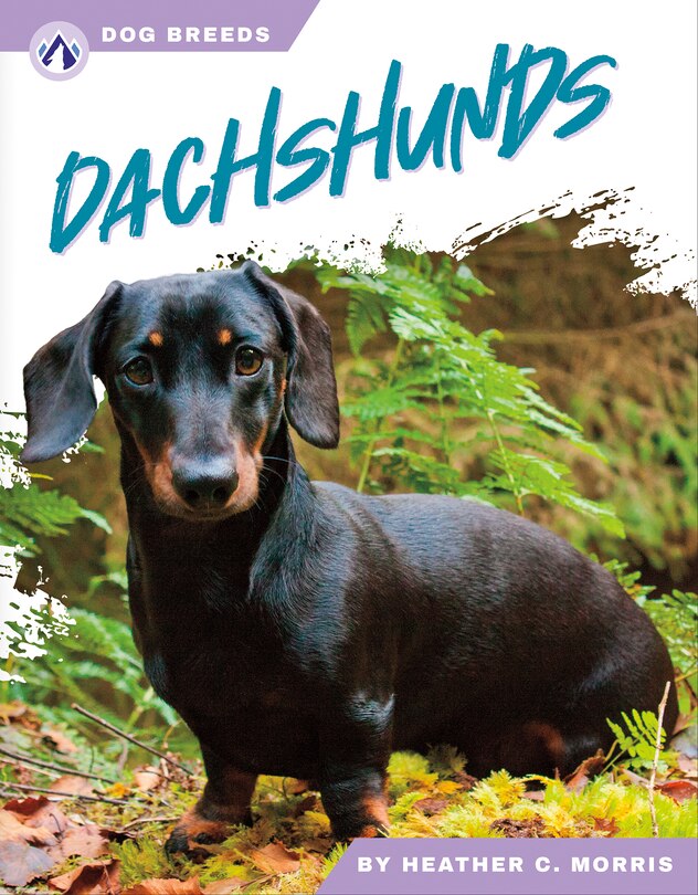 Front cover_Dachshunds