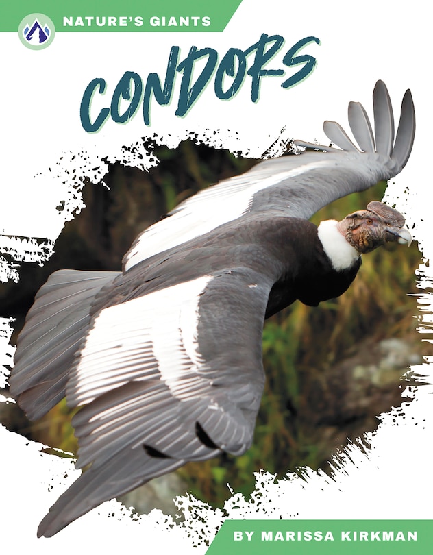 Front cover_Condors