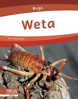 Weta