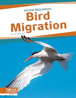 Front cover_Bird Migration