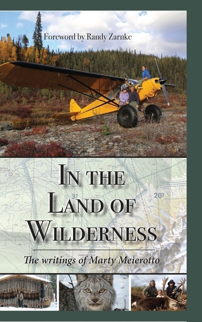 Couverture_In the Land of Wilderness