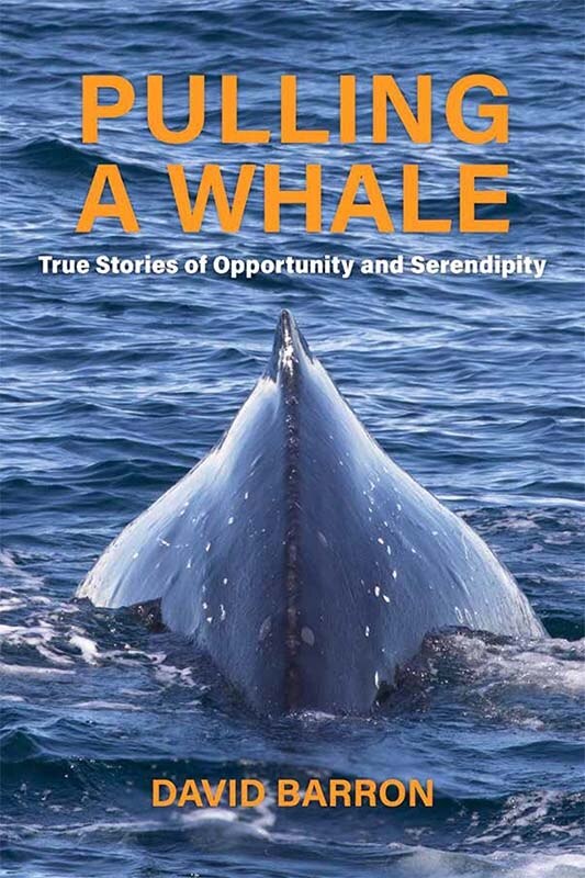 Couverture_Pulling a Whale: True Stories of Opportunity and Serendipity