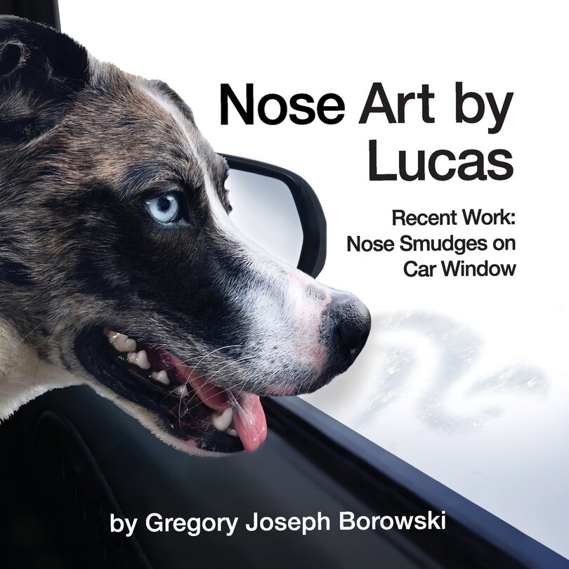 Couverture_Nose Art by Lucas