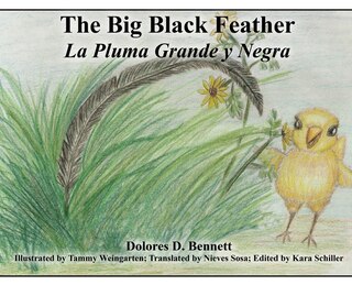 Front cover_The Big Black Feather