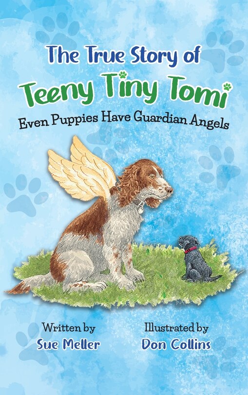 Front cover_The True Story of Teeny Tiny Tomi