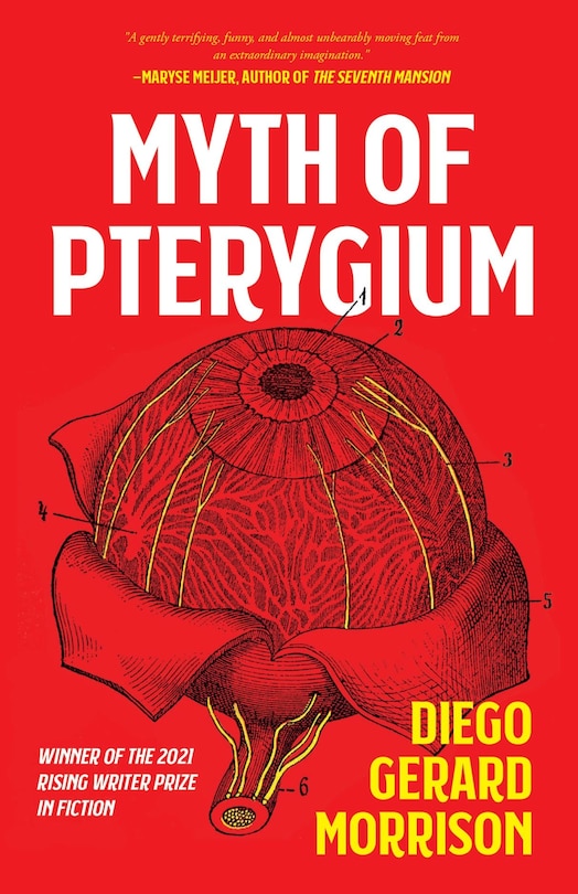 Front cover_Myth Of Pterygium