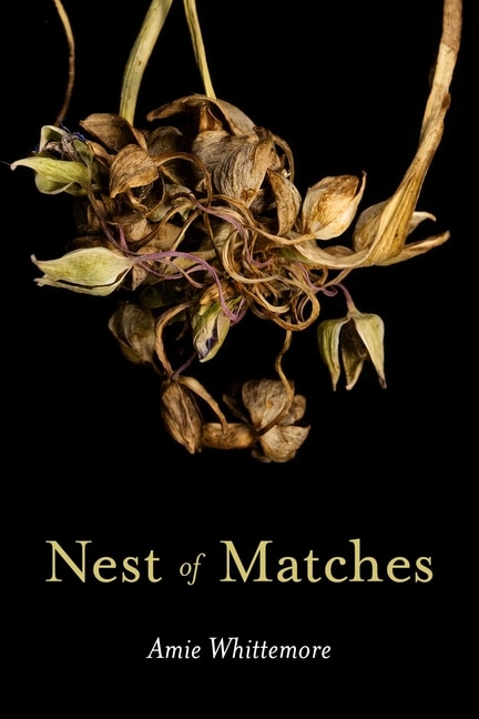 Front cover_Nest of Matches