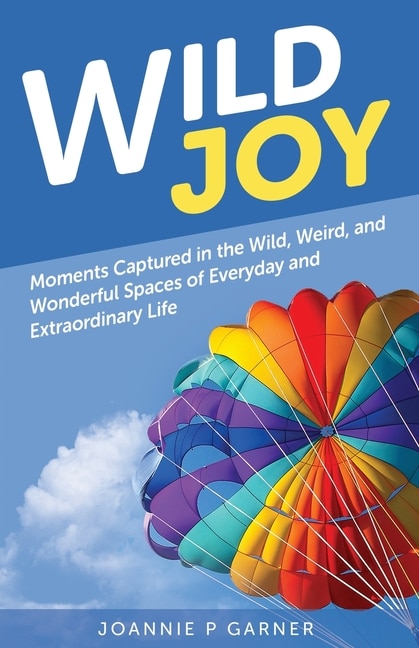 Couverture_Wild Joy