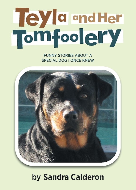 Front cover_Teyla and Her Tomfoolery