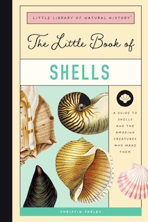Front cover_The Little Book of Shells