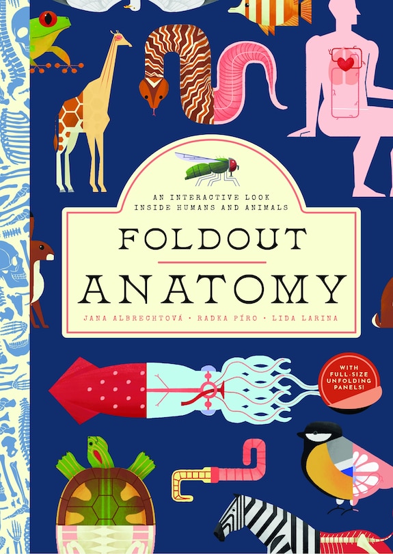 Couverture_Foldout Anatomy