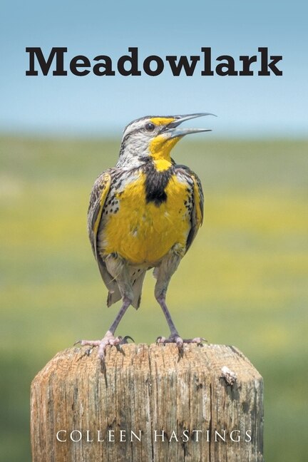 Front cover_Meadowlark