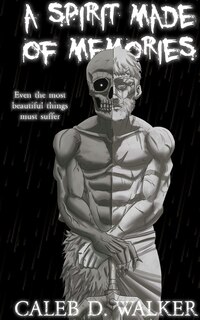 Couverture_A Spirit Made Of Memories