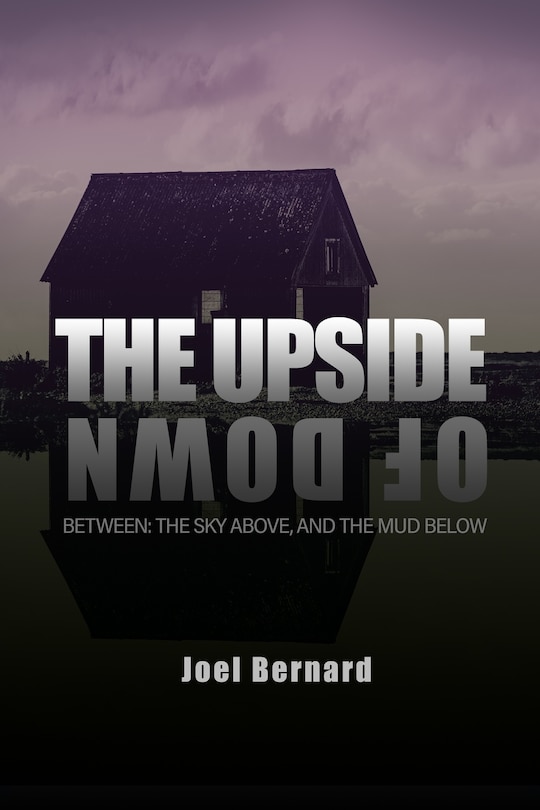 Couverture_The Upside of Down