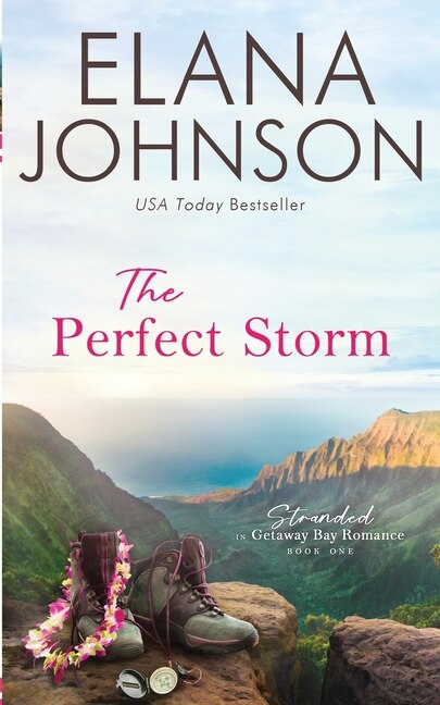 Couverture_The Perfect Storm