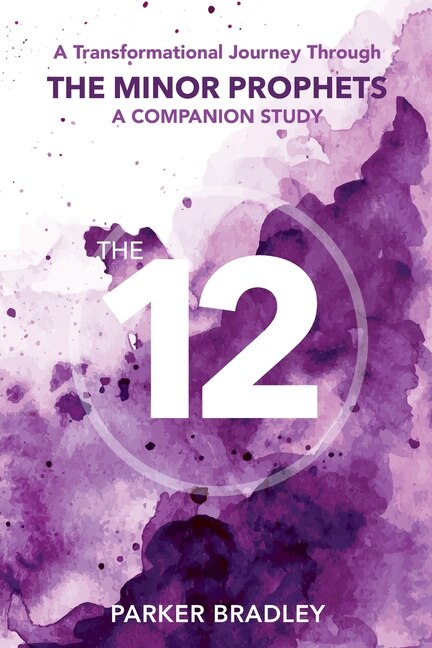 Couverture_The Twelve