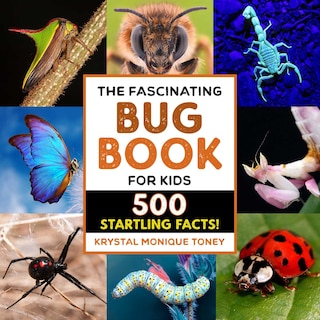 Front cover_The Fascinating Bug Book For Kids