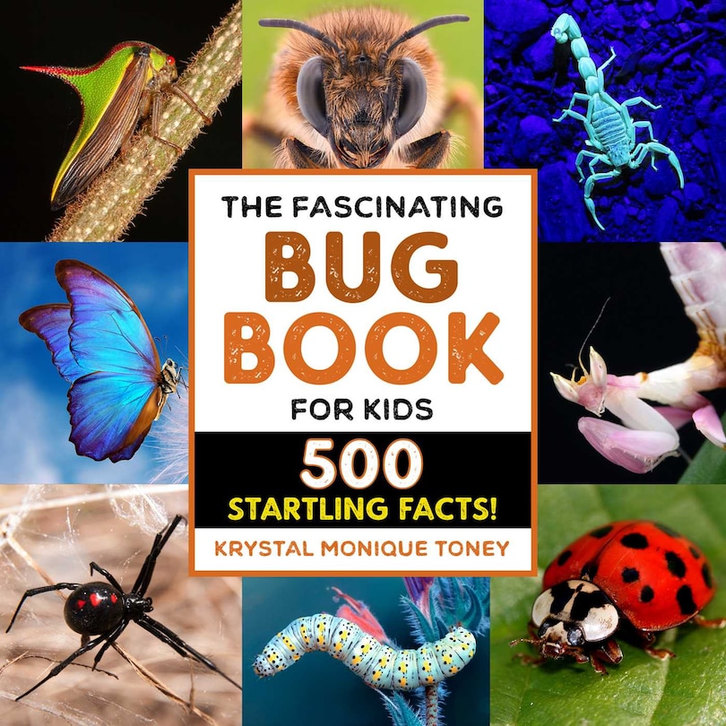 Front cover_The Fascinating Bug Book For Kids