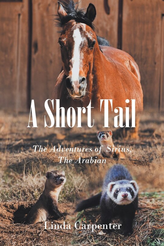 Couverture_A Short Tail