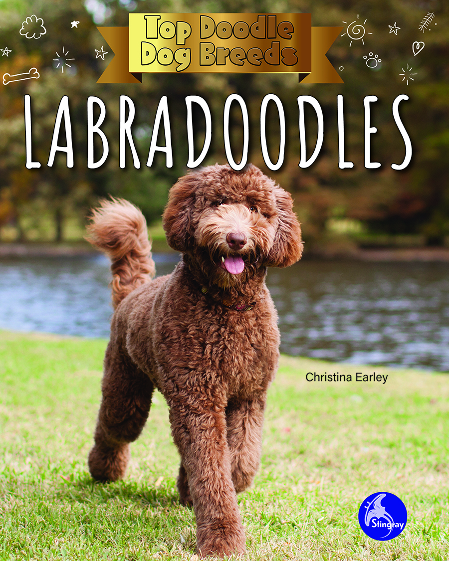 Front cover_Labradoodles