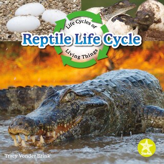 Front cover_Reptile Life Cycle