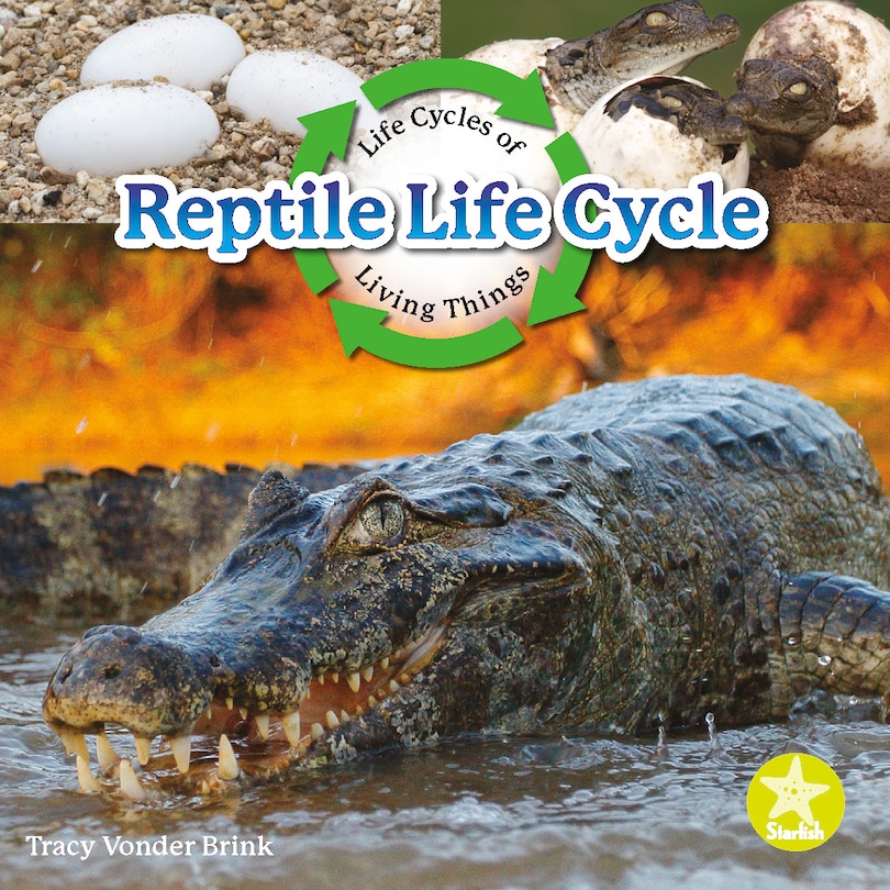 Front cover_Reptile Life Cycle